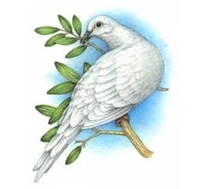 drawing of dove and olive branch